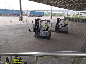 天津食品工厂趣味叉车地牛竞赛 劳动技艺与团队协作的盛宴