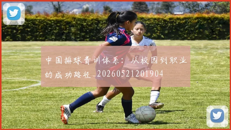 中国排球青训体系:从校园到职业的成功路径_20260521201904