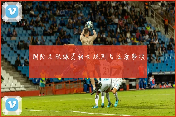 国际足联球员转会规则与注意事项