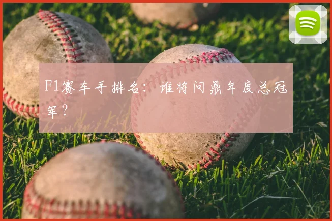 F1赛车手排名：谁将问鼎年度总冠军？