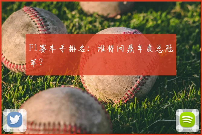 F1赛车手排名：谁将问鼎年度总冠军？